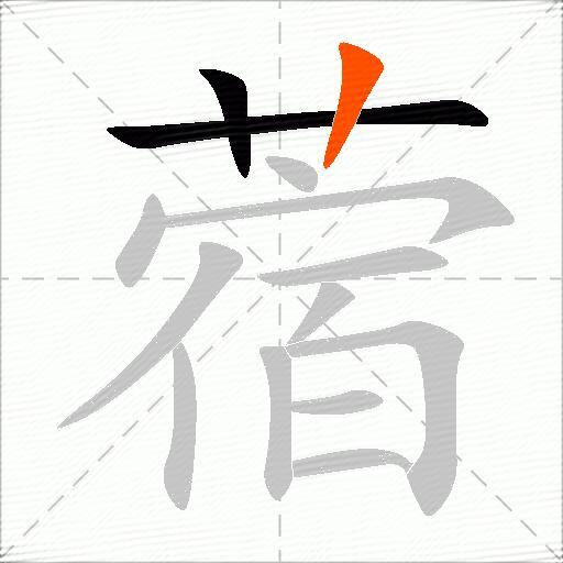 蓿