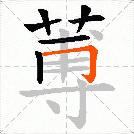 蒪