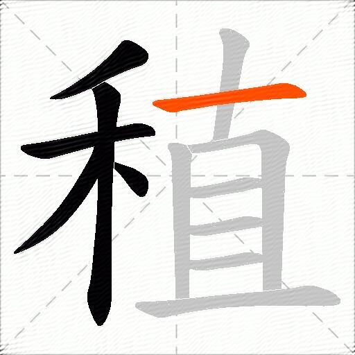 稙