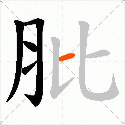 肶