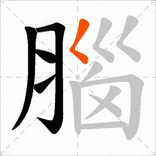 腦