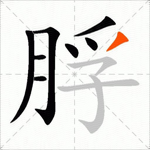 脬