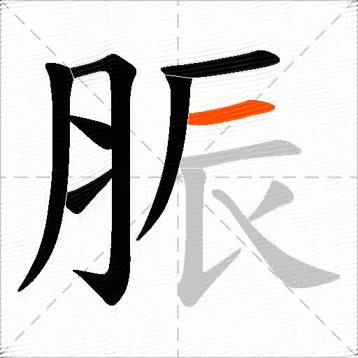 脤