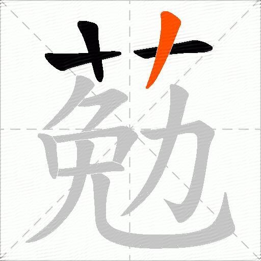 葂