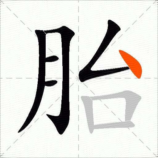 胎