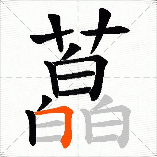 藠