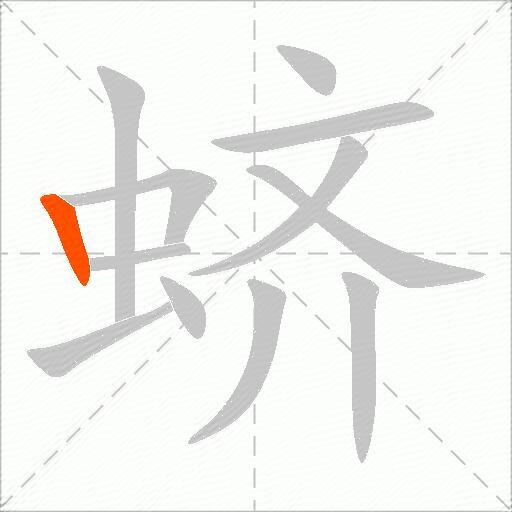 蛴