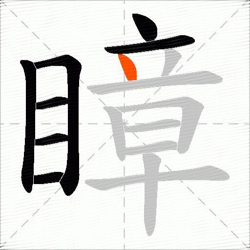 瞕