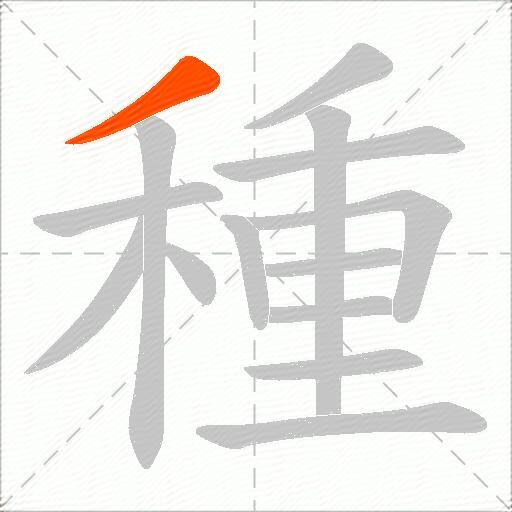 種