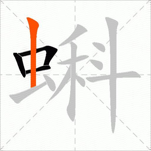 蝌