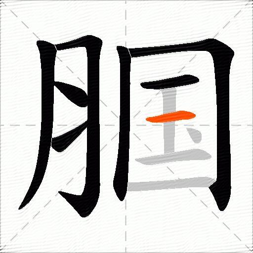 腘