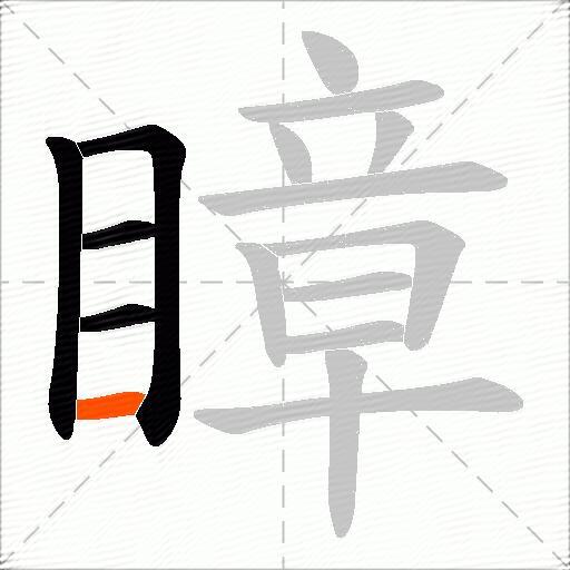 瞕