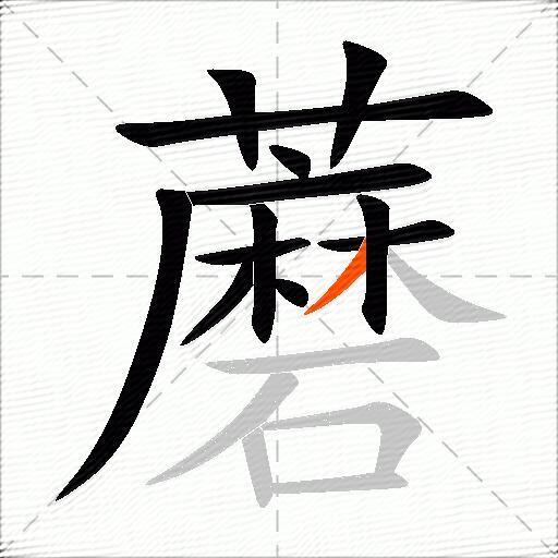 蘑