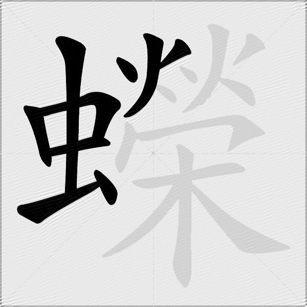 蠑