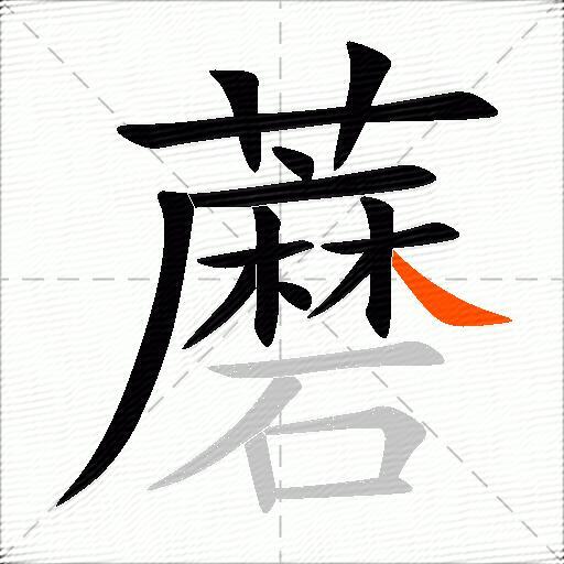 蘑