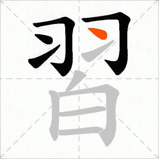 習