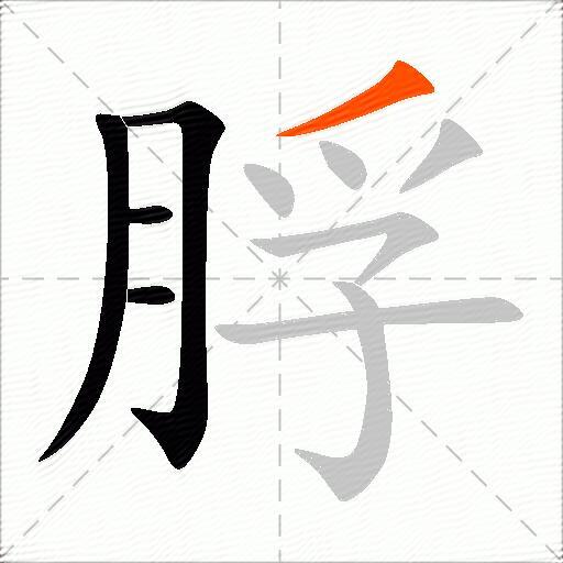 脬