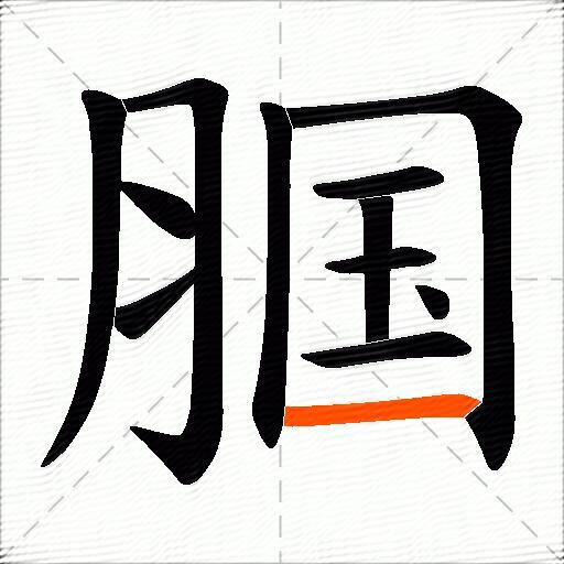 腘
