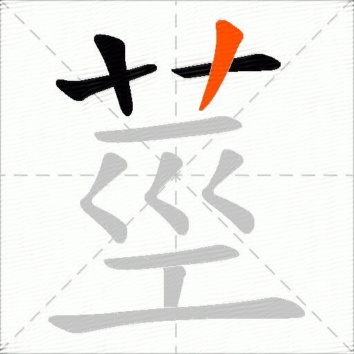 莖