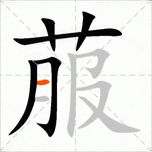 菔