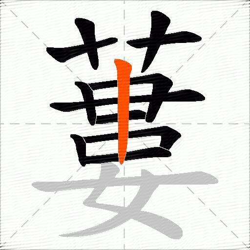蔞