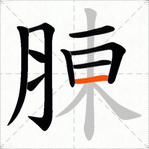 腖