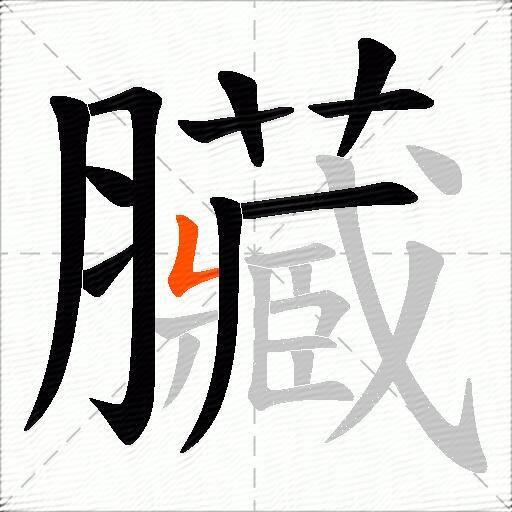 臟