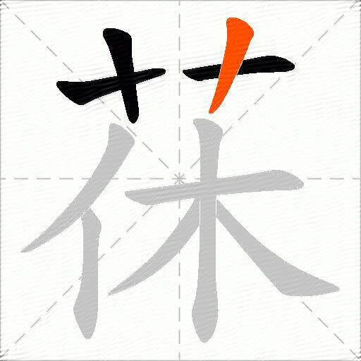 茠