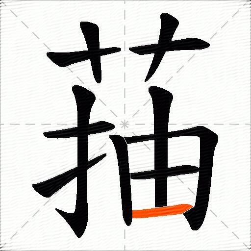 菗