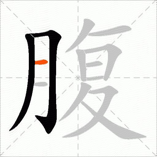 腹