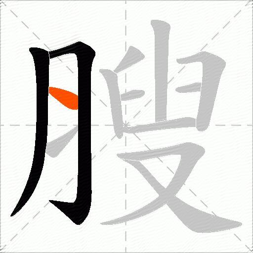 膄