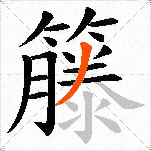 籐