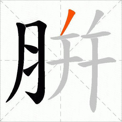 腁