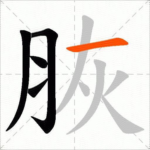 脄
