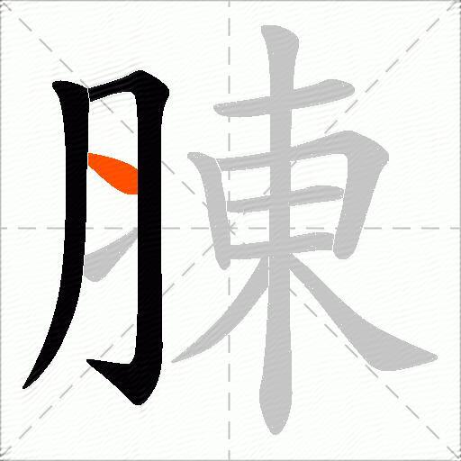 腖