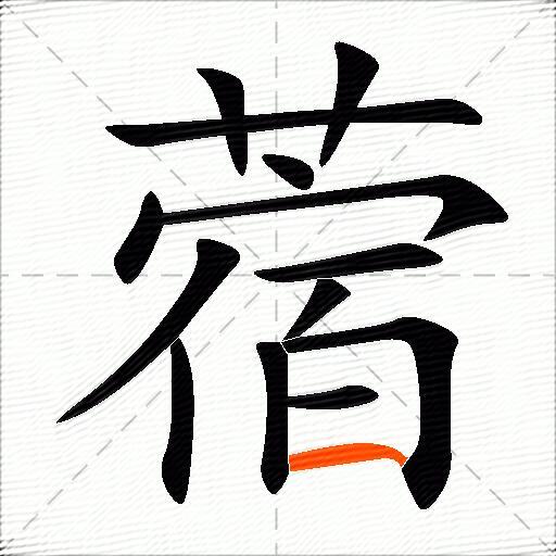 蓿