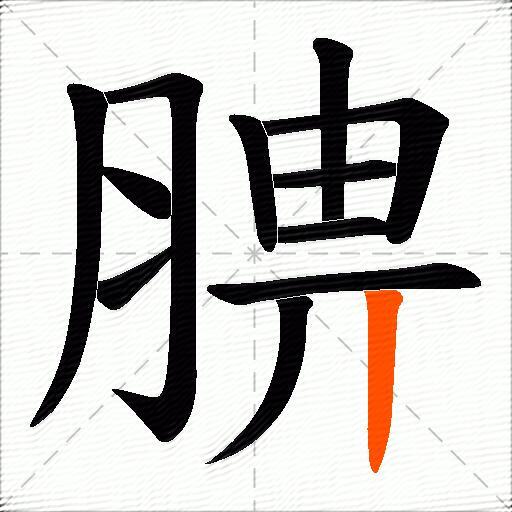 腗