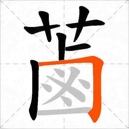 蓾