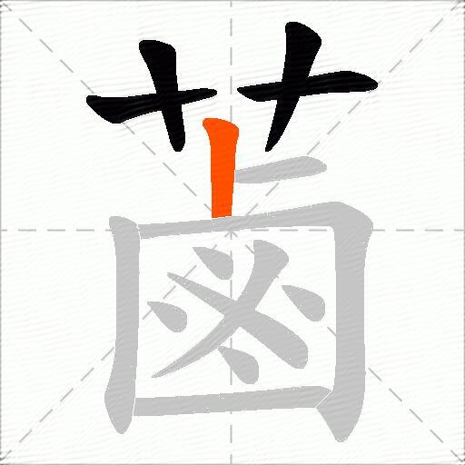 蓾