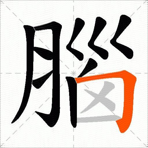 腦