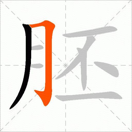 胚