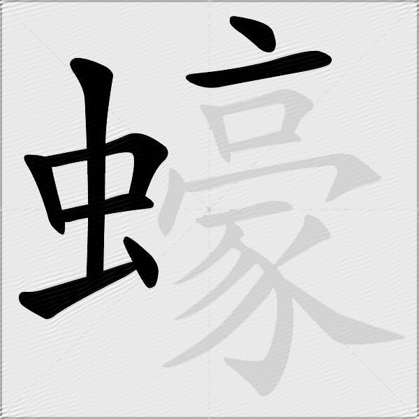 蠔
