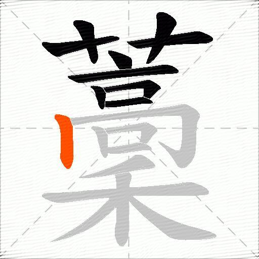 藳