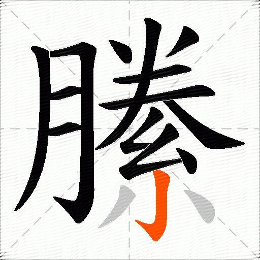 縢