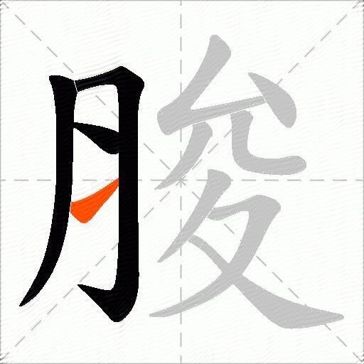 脧