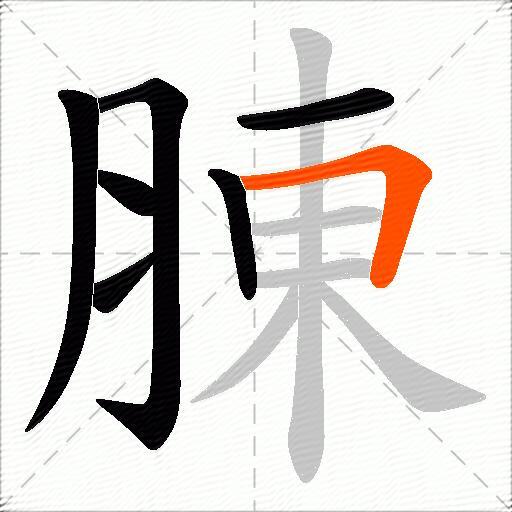 腖