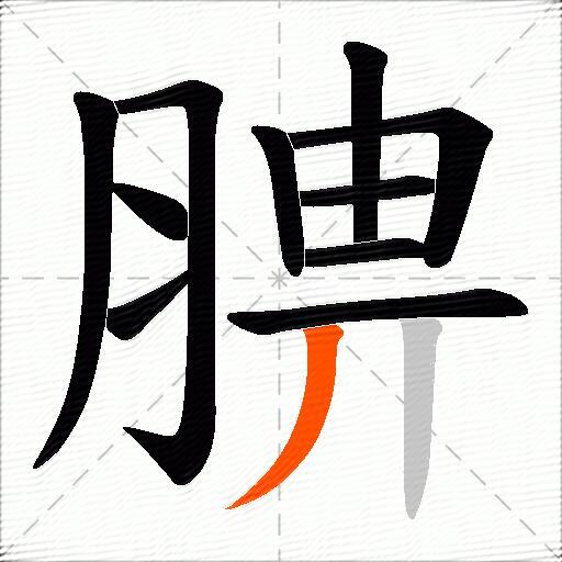 腗