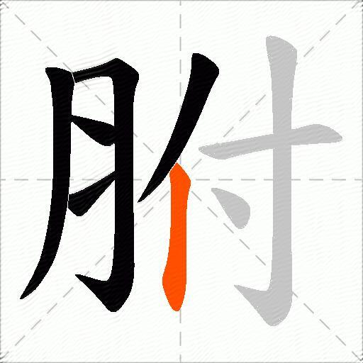 胕