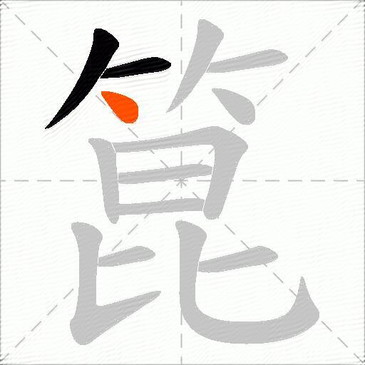 箟