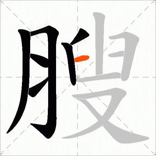 膄